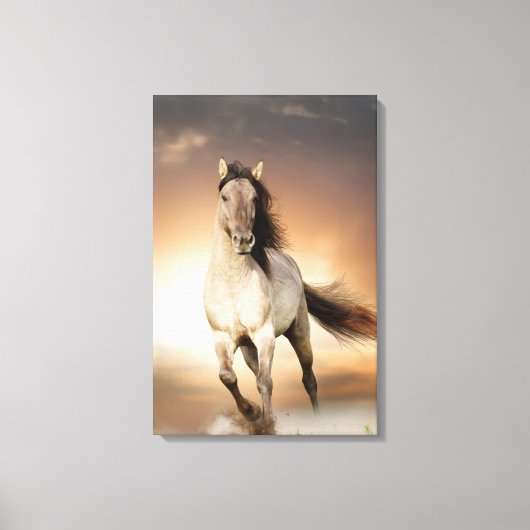 Wilde Stallion op zonsondergang Canvas Afdruk (Voorkant)