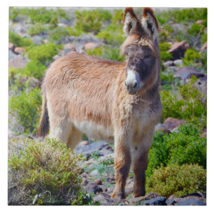 Wilde teelten, keramische producten, wilde buren, tegeltje