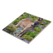 Wilde teelten, keramische producten, wilde buren,  tegeltje (Zijkant)