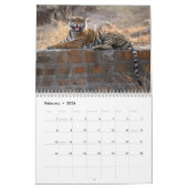 Wilde tijgers van de Indiase kalender (Feb 2026)
