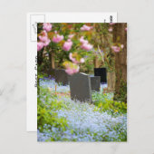 Wilde tranquiliteit, mooie kerkhof. Hopwas UK Briefkaart (Voorkant / Achterkant)