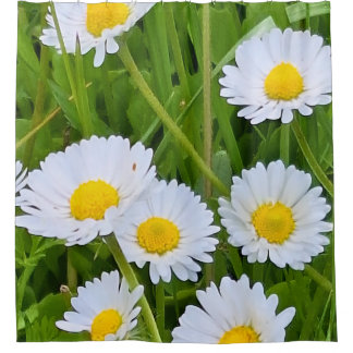 Wilde Tuinbloemen Roemenië – Natuurfotografie Douchegordijn