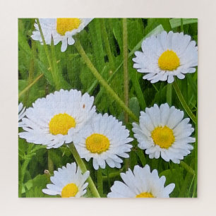 Wilde Tuinbloemen Roemenië – Natuurfotografie Legpuzzel