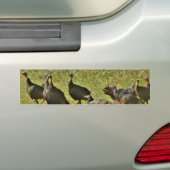 Wilde Turkije, Camouflage-kleuren Bumpersticker (Op auto)