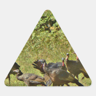 Wilde Turkije, Camouflage-kleuren Driehoek Sticker
