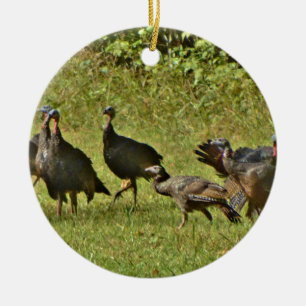 Wilde Turkije, Camouflage-kleuren Keramisch Ornament