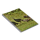 Wilde Turkije, Camouflage-kleuren Notitieboek (Rechterzijde)