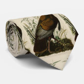 Wilde Turkije (man) van de Amerikaanse vogels van Stropdas (Opgerold)