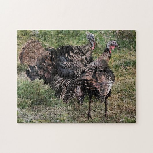 Wilde Turkije voor de strijd Legpuzzel (Horizontaal)