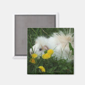 Wilde varkens magneet (Voorkant / Achterkant)