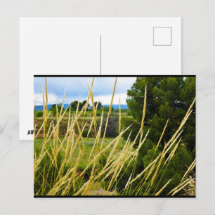Wilde veldgras briefkaart
