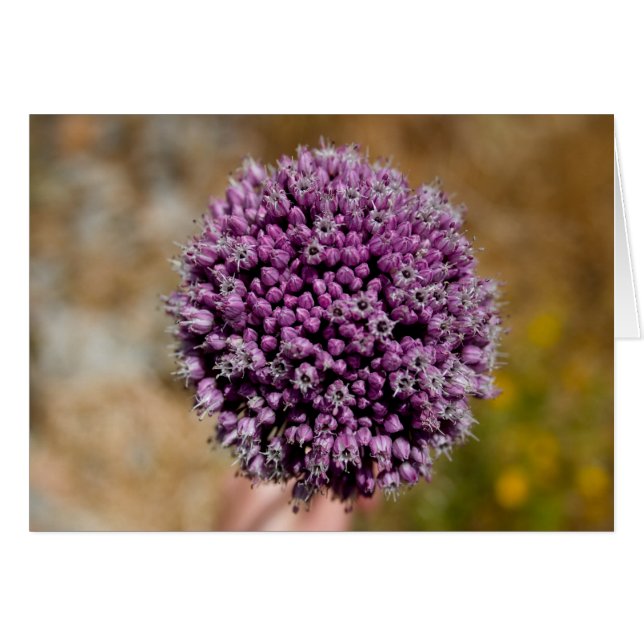 Wilde ventilator (Voorkant Horizontaal)