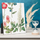 Wilde ventilator  botanische afdruk fotoplaat (Zijkant)