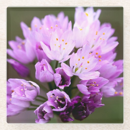 Wilde ventilator glazen onderzetter (Voorkant)