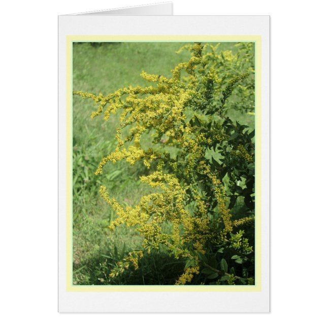 Wilde ventilatorkaart (Voorkant)