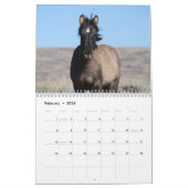 Wilde veulens van Salt Wells Creek Kalender (Feb 2026)