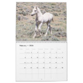 Wilde veulens van Salt Wells Creek Kalender (Feb 2026)