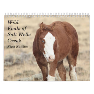Wilde veulens van Salt Wells Creek Kalender