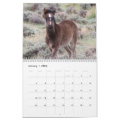 Wilde veulens van Salt Wells Creek Kalender (Jan 2026)