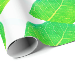 Wilde Vijgen Rijke Groene Blad Textuur Inpakpapier