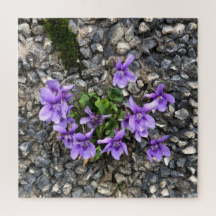 Wilde Viola bloemen groeien uit een ruwe gietwand Legpuzzel