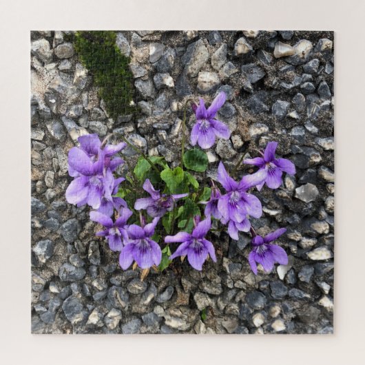 Wilde Viola bloemen groeien uit een ruwe gietwand Legpuzzel (Verticaal)
