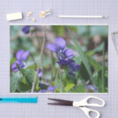 Wilde violetten tissuepapier (Craft)