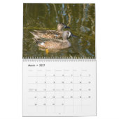 Wilde vogelkalender 2017 kalender (Mar 2027)