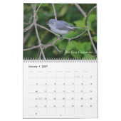 Wilde vogels in New England Kalender (Jan 2027)