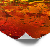 Wilde vogels poster (Hoek)