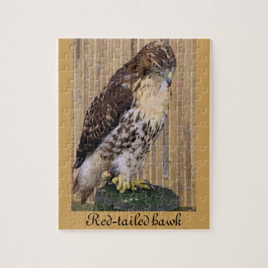 Wilde vogels: Red-Tailed Hawk Legpuzzel (Verticaal)