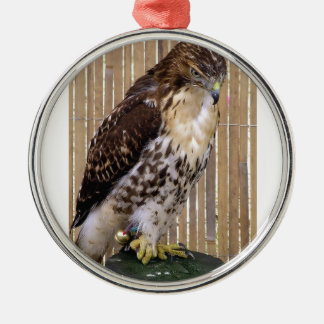 Wilde vogels: Red-Tailed Hawk Metalen Ornament