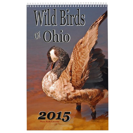 Wilde vogels van Ohio Kalender (Hoes)