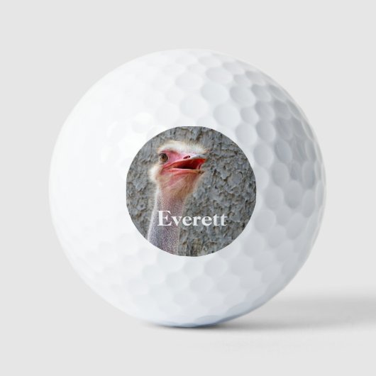 Wilde vogels van struisvogelsoorten die verpersoon golfballen (Voorkant)