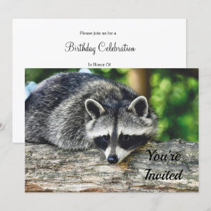 Wilde Wasbeer Logboek Zoogdier Foto Verjaardag Kaart