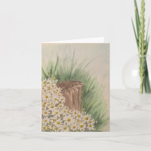 Wilde witte madeliefjes door boomstronk - blanco g kaart