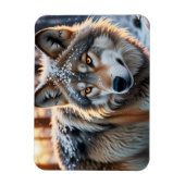 Wilde wolf in de winter magneet (Verticaal)