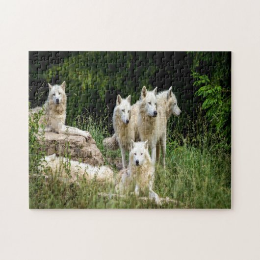 wilde wolf legpuzzel (Horizontaal)
