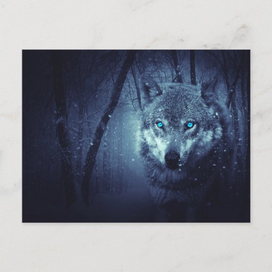 Wilde Wolf met mooie blauwe ogen Briefkaart (Voorkant)