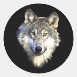 Wilde wolfsketters ronde sticker