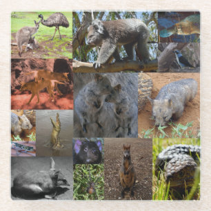 Wilde Wonders: Boeiende Australische Fotocollage Glazen Onderzetter