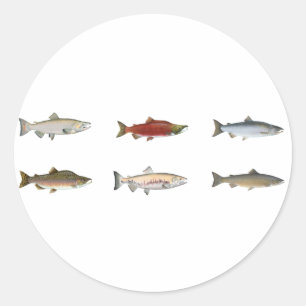 Wilde zalm ronde sticker