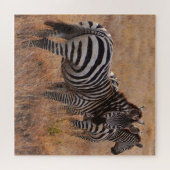 Wilde Zebra op African Plain Legpuzzel (Horizontaal)
