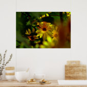 Wilde zonnebloem poster (Keuken)
