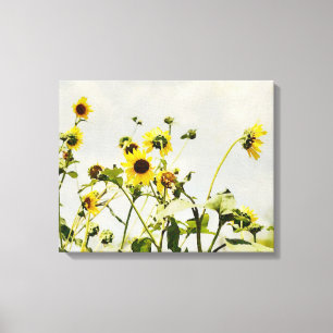 Wilde Zonnebloemen en Grijze Hemel Kunst Canvas Pr Afdruk