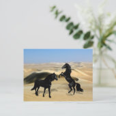 Wilde zwarte schoonheidpaarden briefkaart (Staand voorkant)