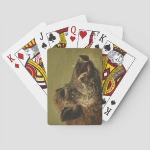 Wilde zwijnen hoofd pokerkaarten