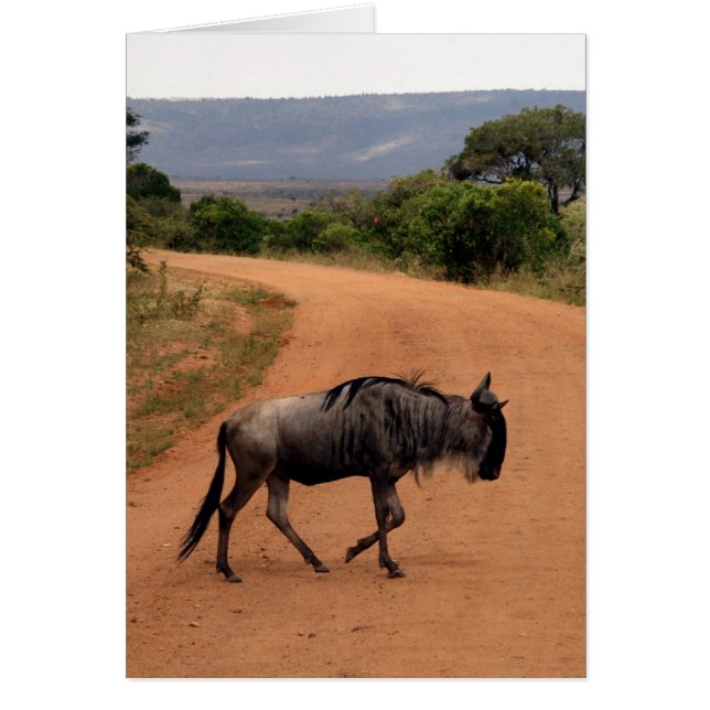 wildebeest (Voorkant)