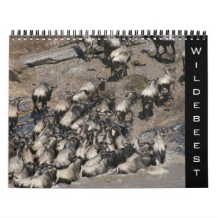 Wildebeest 2025 kalender