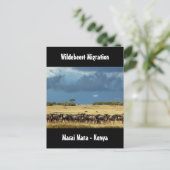 Wildebeest migratie Masai Mara Kenya briefkaart (Staand voorkant)
